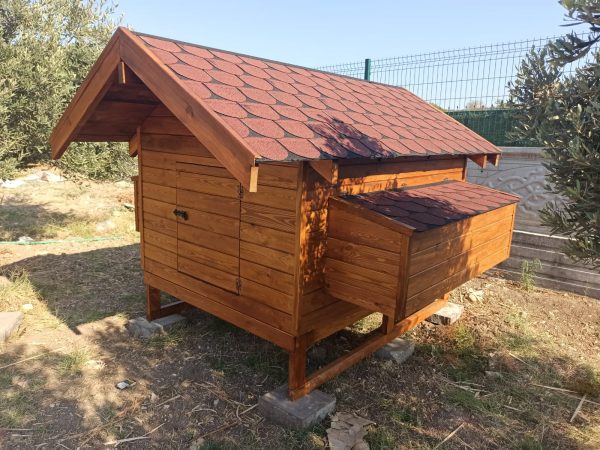 TAVUK KÜMESİ