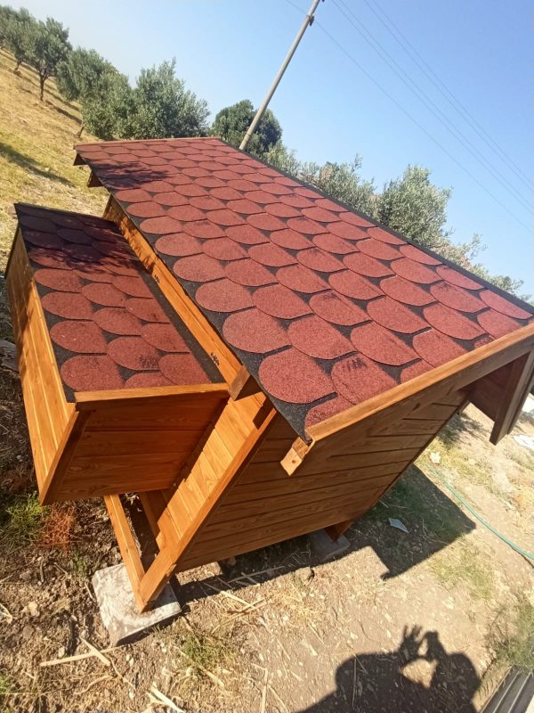 TAVUK KÜMESİ - Görsel 8